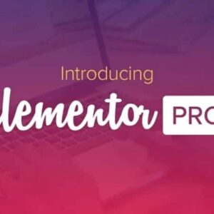 Elementor Pro