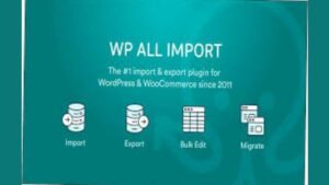 WP All Import Pro Plugin