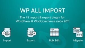 WP All Import Pro + WooCommerce And ACF Addons Beta