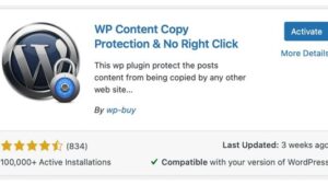 WP Content Copy Protection and No Right Click