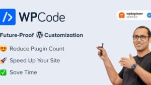 WPCode Pro