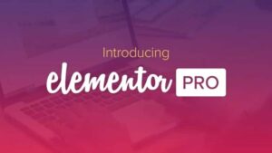 Elementor Pro - Advanced Website Builder for WordPress