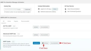 AMP Pro Extension Manager