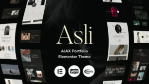 Asli - AJAX Portfolio Elementor WordPress Theme