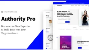 Authority Pro Theme