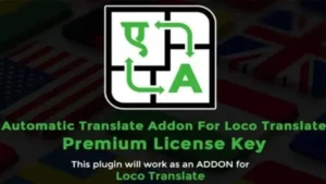 Automatic Translate Addon For Loco Translate