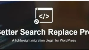 Better Search Replace Pro