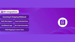 Bit Integrations Pro