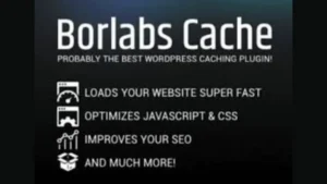 Borlabs Cache - WordPress Caching Plugin