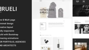 Brueli - Portfolio Agency Architect WordPress