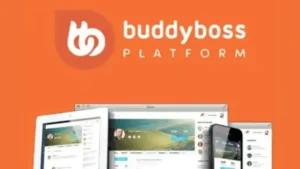 BuddyBoss Platform Pro