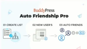 BuddyPress Auto Friendship