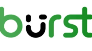 Burst Statistics Pro