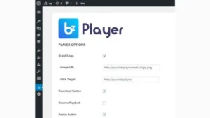 bzplayer Pro - Live Streaming Player WordPress Plugin
