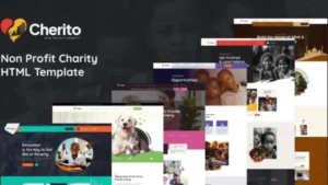 Cherito - Non Profit Charity WordPress Theme