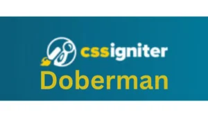 CSS Igniter Doberman WordPress Theme