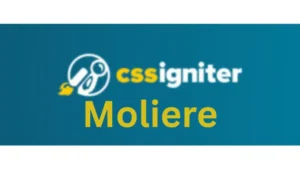 CSS Igniter Moliere WordPress Theme