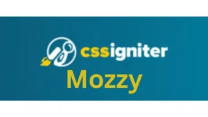 CSS Igniter Mozzy WordPress Theme