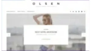 CSS Igniter Olsen WordPress Theme