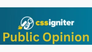 CSS Igniter Public Opinion WordPress Theme