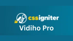 CSS Igniter Vidiho Pro