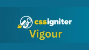 CSS Igniter Vigour WordPress Theme