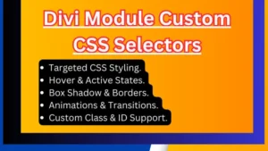 Divi Module Custom CSS Selectors