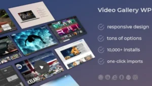 DSZ Video Gallery WordPress Plugin/w YouTube, Vimeo, Facebook pages