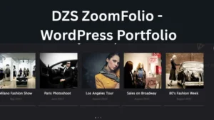 DZS ZoomFolio - WordPress Portfolio