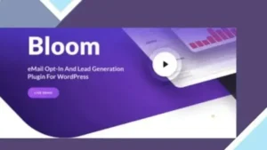 Elegant Themes Bloom Email Opt-Ins
