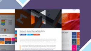 Elegant Themes Monarch Social Media Sharing