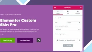 Elementor Custom Skin Pro