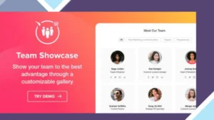 Elfsight Team Showcase