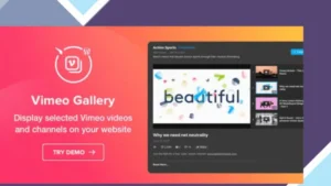 Elfsight Vimeo Gallery Plugin