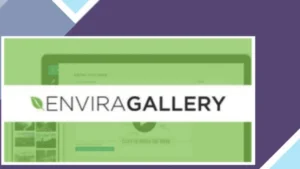 Envira Gallery - Albums Addon