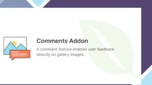 Envira Gallery - Comments