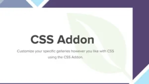 Envira Gallery CSS Addon