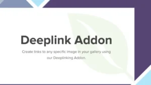 Envira Gallery Deeplinking Addon