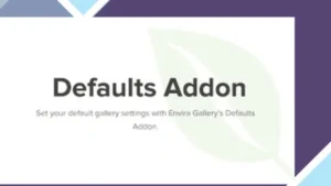 Envira Gallery Defaults Addon