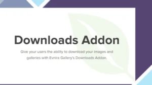 Envira Gallery Downloads Addon