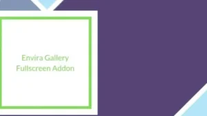 Envira Gallery Fullscreen Addon