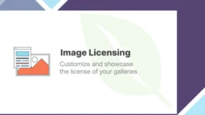 Envira Gallery - Image Licensing