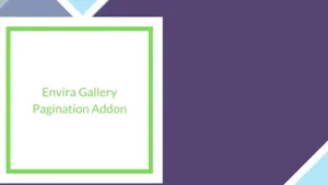 Envira Gallery Pagination Addon
