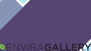 Envira Gallery Pro Elementor Addon