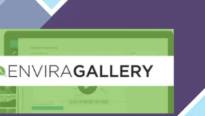 Envira Gallery - Videos Addon