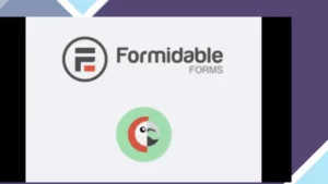 Formidable Forms - Polylang Multilingual Add-On