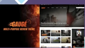 Gauge - Multi-Purpose Review Theme
