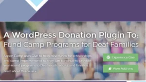 GiveWP Annual Receipts Addon