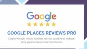 Google Places Reviews Pro WordPress Plugin