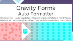 Gravity Forms Auto Formatter